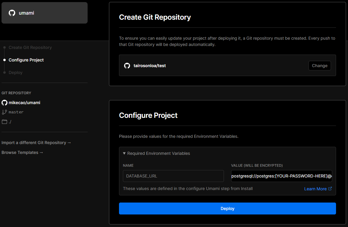 Filling the project settings in Vercel